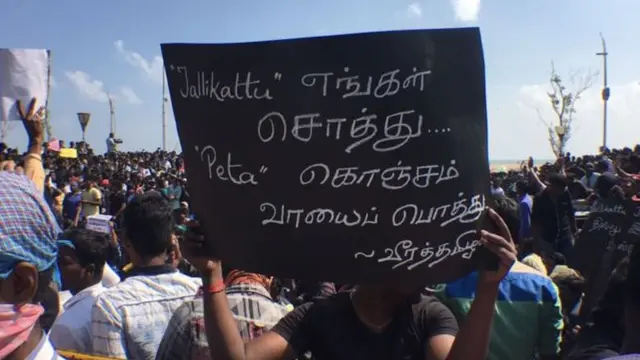 जल्लीकट्टू प्रदर्शन