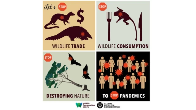 The Wildlife Conservation Society is calling for a ban on wildlife consumption