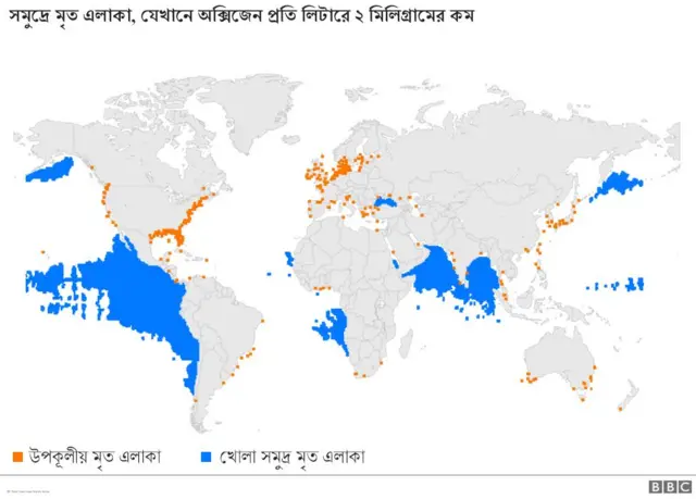 সমুদ্রে মৃত এলাকাগুলো কোথায়
