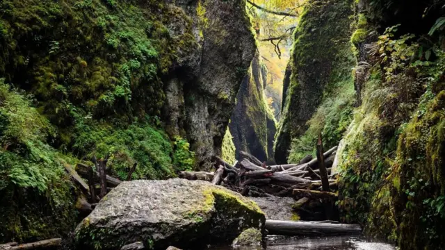 （图片来源：Zack Frank）