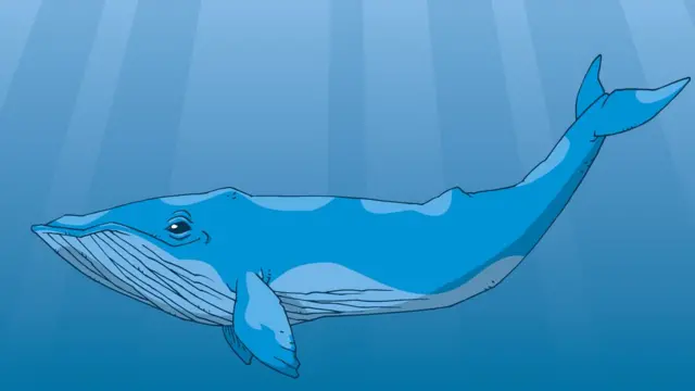 Ballena azul