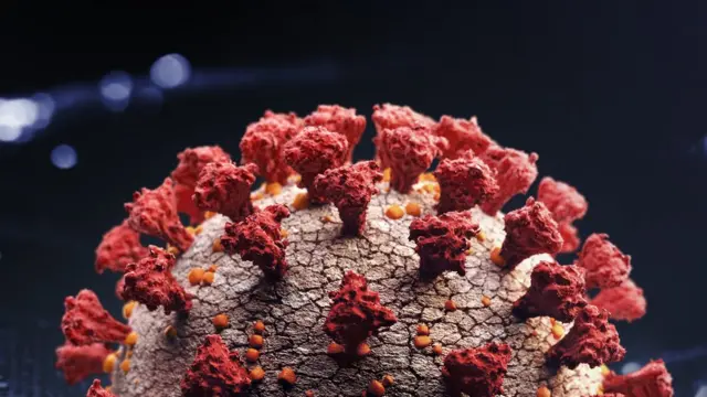 கொரோனா வைரஸ்