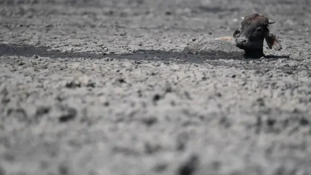 حلت كوارث طبيعية في أجزاء من جنوبي وشرقي إفريقيا