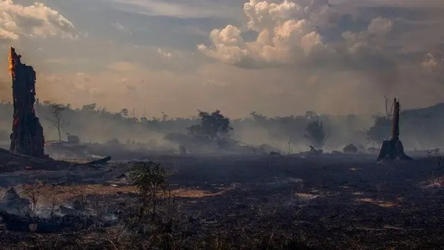 "அமேசான் காடு உலகின் நுரையீரல் இல்லை": பிரேசில் அதிபர் ஐ.நாவில் உரை
