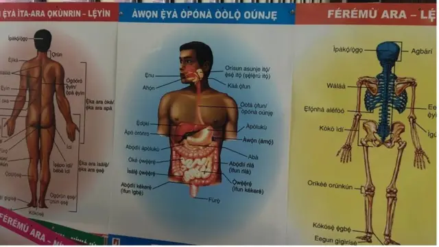 Awọn ẹya ara ọkunrin niwaju ati feremu ara