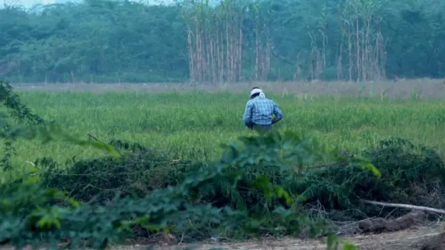 कलानौर विधानसभा क्षेत्र का बनियानी गाँव