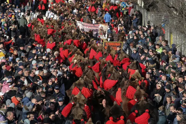 Događaju prisustvje više stotina učesnika koji odeveni u medveđa krzna dolaze iz okolnih mesta u kojima se takođe neguje ovakva tradicija. U jutarnjim časovima različite grupe pristižu u grad, nakon čega organizovano kreću ka centralnom trgu gde će se održati zvanični deo manifestacije.