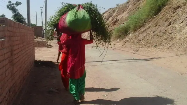 ਪਿੰਡ ਮੌਜੂਖੇੜਾ