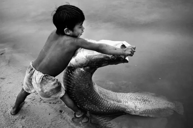 Menino Karajá brinca com pirarucu no Rio Araguaia. Goiás, 2014