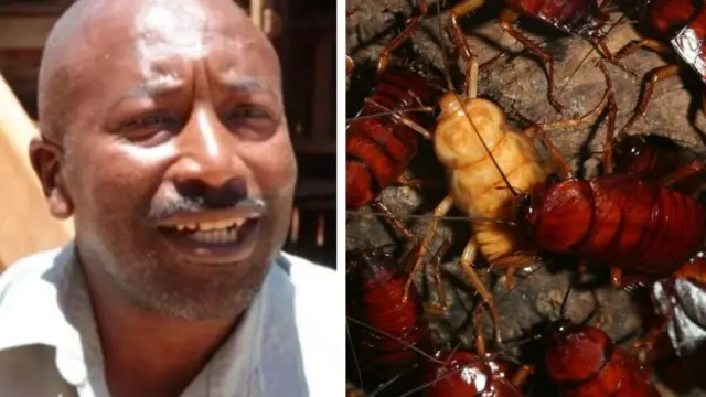 Aworan aayan ati arakunrin to n sin aayan