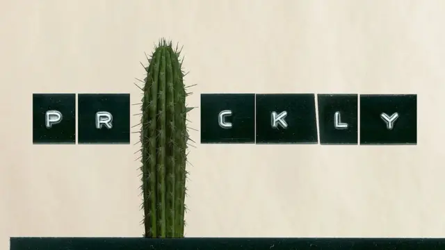 Le mot "épineux" est aussi épineux qu'il le semble, et de telles associations peuvent aider à l'apprentissage des langues.