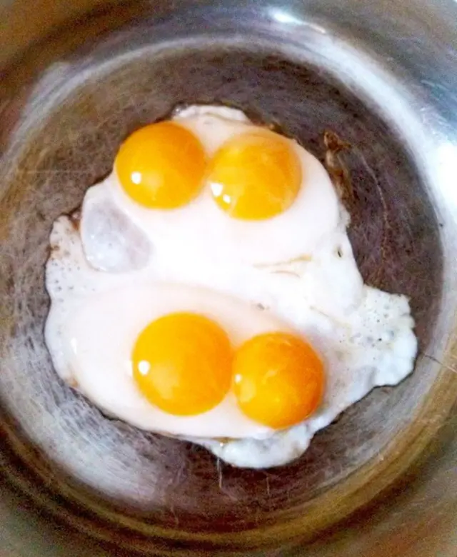 بيض بط مقلي