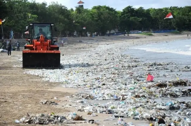Plastic Pollution