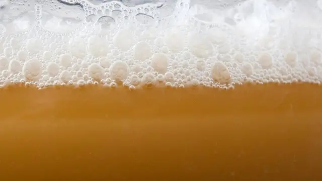 几个世纪以来，虽然啤酒酿造者们没有意识到这一点，但他们早已利用了酵母菌的力量。（图片来源: iStock）