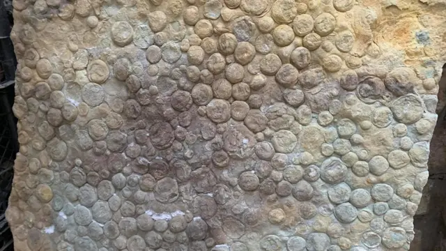 Плита з неміанами