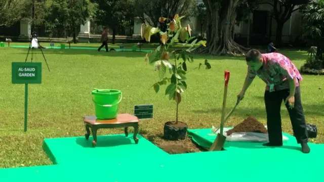 Raja Salman, Bogor, Jokowi