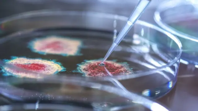 கொரோனா வைரஸ் கோப்புப் படம்