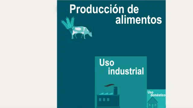 Comparación con industria y alimentos
