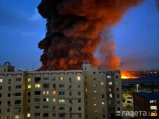 Mortal Kombat porno multfilmlar