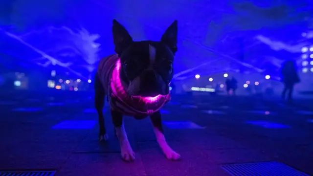 Фестиваль света в Лондоне