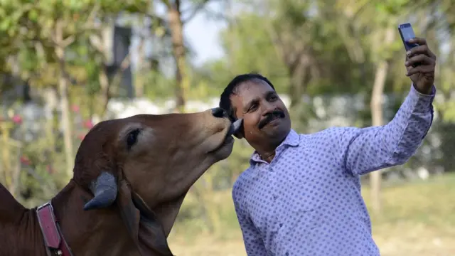 गो रक्षा