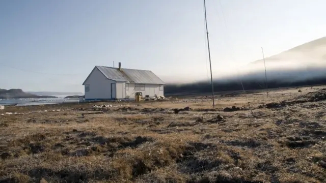 الزمیر جزیرہ