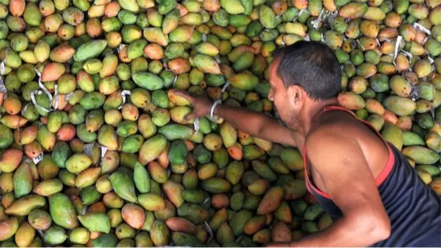 లాక్ డౌన్:సరైన రవాణా సౌకర్యాలు లేక తెలుగు రాష్ట్రాల్లో మామిడి రైతుల దిగాలు