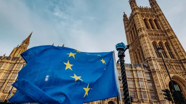 Houses of Parliament and EU flag
