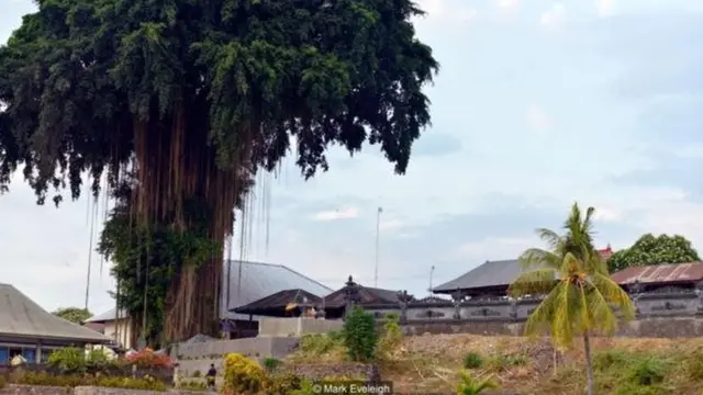 Kata Kolok sadəcə Balidəki Bengkala kəndində istifadə edilir