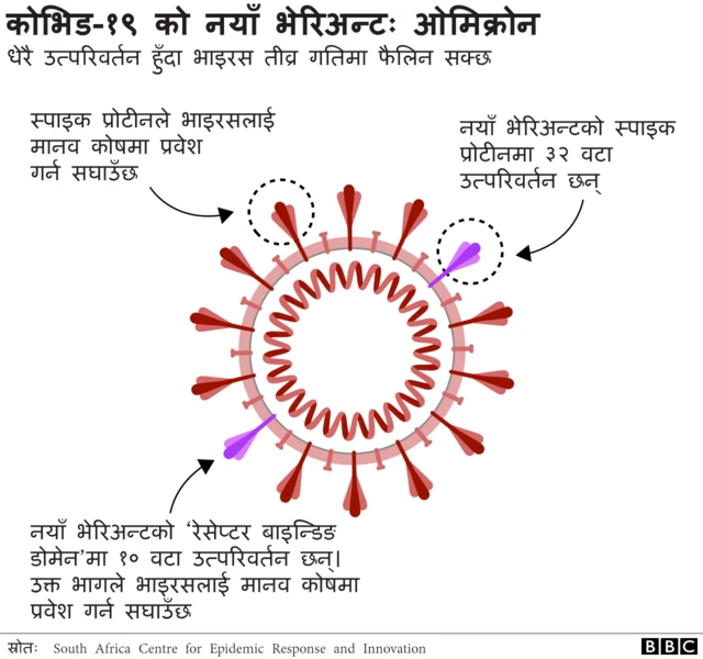 ओमिक्रोन
