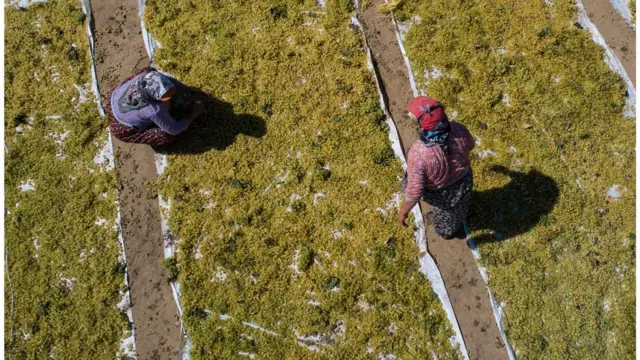 కార్బన్ డయాక్సైడ్, వాతావరణ మార్పులు