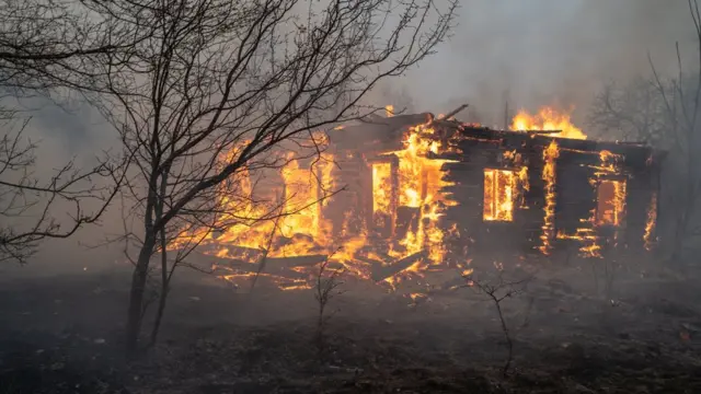 Пожежі на Житомирщині. Фото