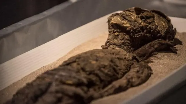 Inahusu "utamaduni wa chinchorro " ambao, kulingana na uchunguzi wa masalia ya kiakiolojia, jamii hiyo ilitumia njia ya kipekee katika kuitunza miili ya wafu wake,