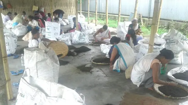 चाय कंपनी