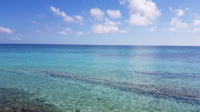 Koralni greben oko ostrva Heron