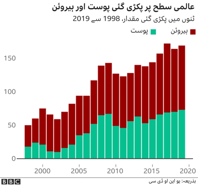 پوست سے متعلق ڈیٹا