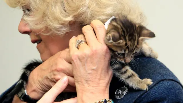 Камилла, герцогиня Корнуольская