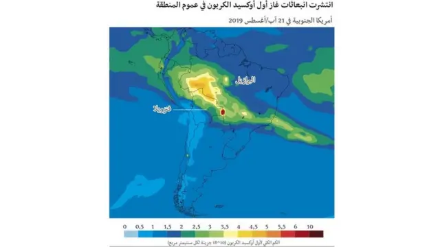 غابات الأمازون