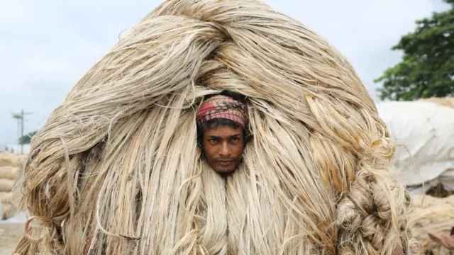 পাট চাসী।