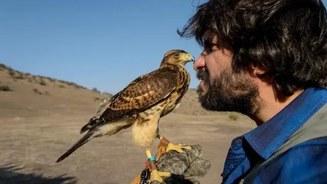 ਇੱਕ ਪੈਰਾ ਗਲਾਈਡਰ ਆਪਣੇ ਬਾਜ਼ ਨਾਲ