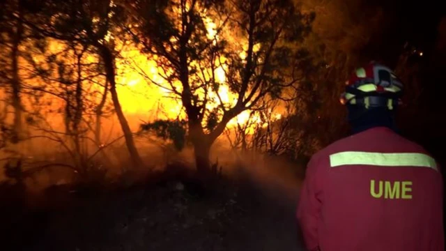 Árvores pegando fogo