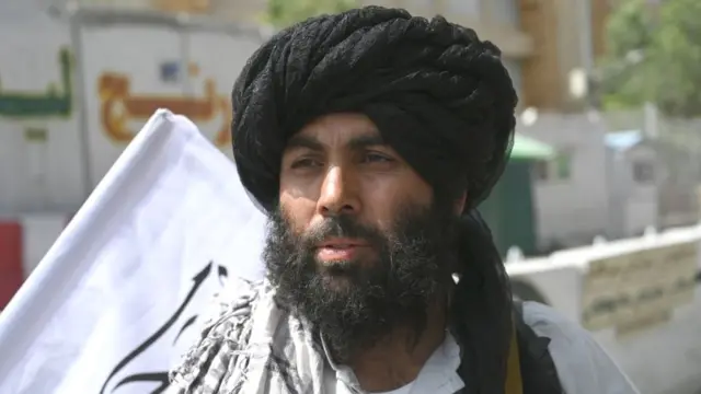 तालिबान