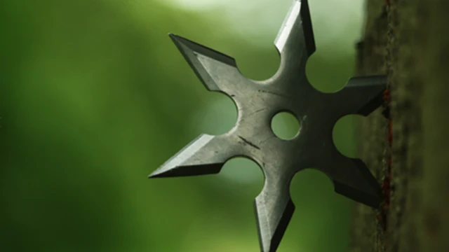 ชูริเคนหรือ "มีดดาบหลังมือ" ไม่จำเป็นต้องมีรูปร่างแบบดาวกระจายเสมอไป