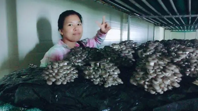 कोरियामा काम