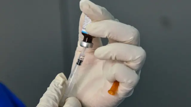 பிசிஜி தடுப்பூசி எப்படிச் செயல்படுகிறது?