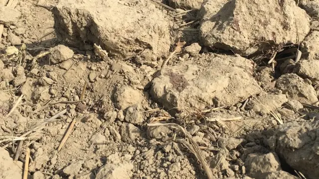 हापुड़ में व्यक्ति की पीट-पीट कर हत्या