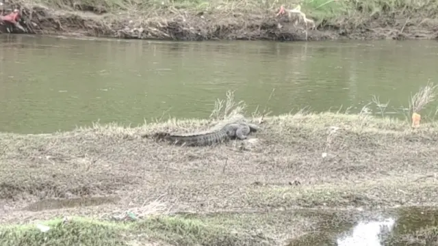 ઢાઢર નદી