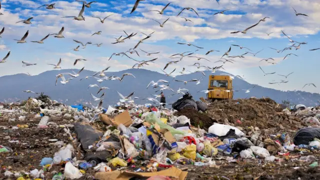 மருத்துவக் கழிவு