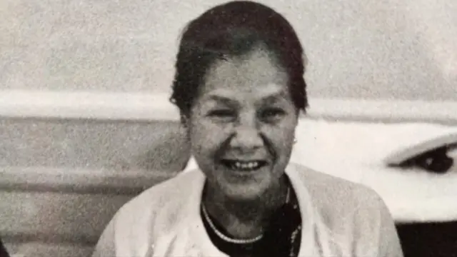 सिल्वरीन स्वेर