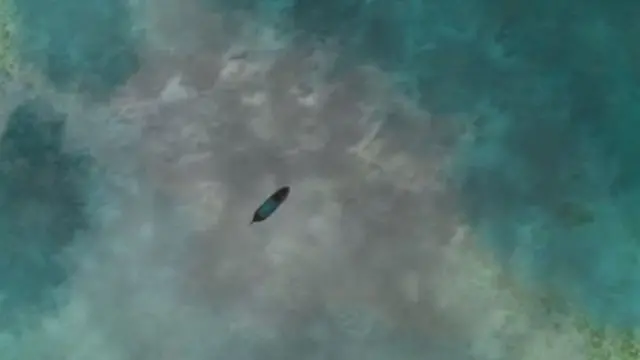 બોટની તસવીર